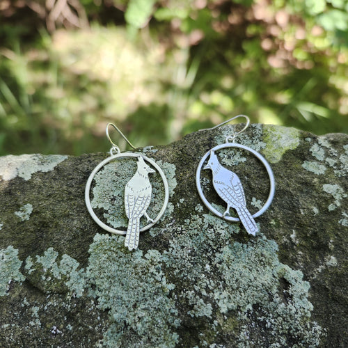 Stellers Jay Circle Earrings