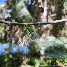 Stellers Jay Circle Earrings