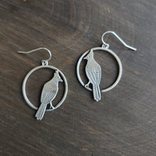 Stellers Jay Circle Earrings
