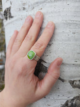 Aspen Birch Ring with Brazilian Turquoise size 7