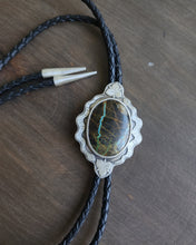 Snake and Sego Lily Turquoise Bolo Tie