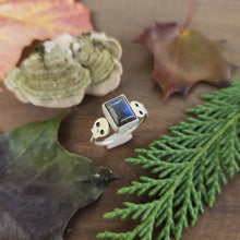 Skull and Labradorite Ring, Size 9