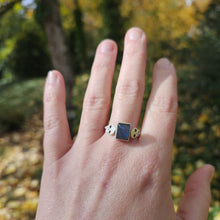 Skull and Labradorite Ring, Size 9