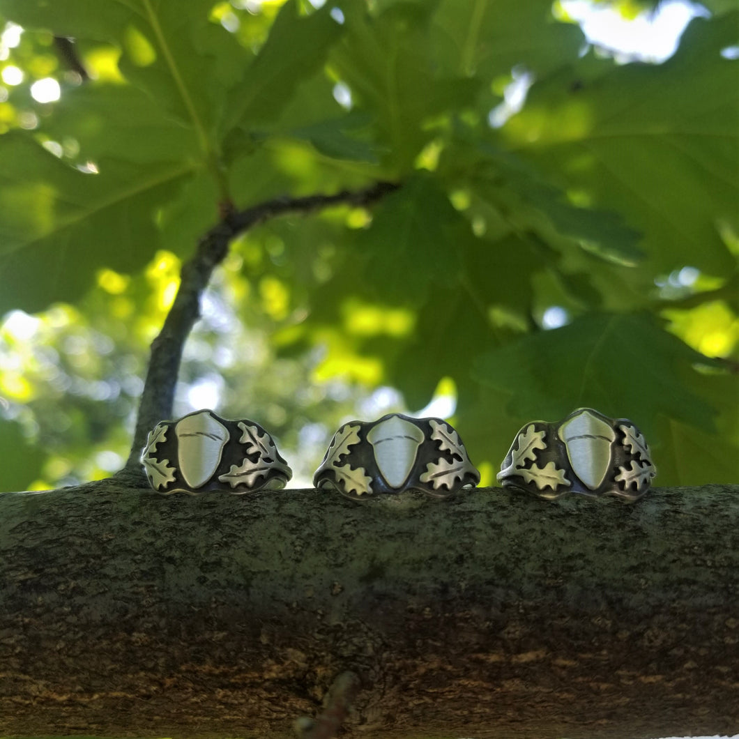 Three acorn signet rings sitting on a branch of a oak tree, with green leaves in the background