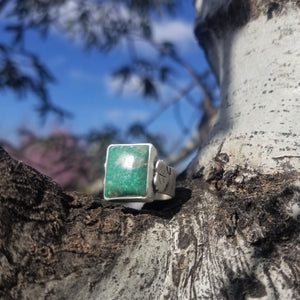 An aspen ring with a blue green stone balances on an aspen branch, with blue sky in the background