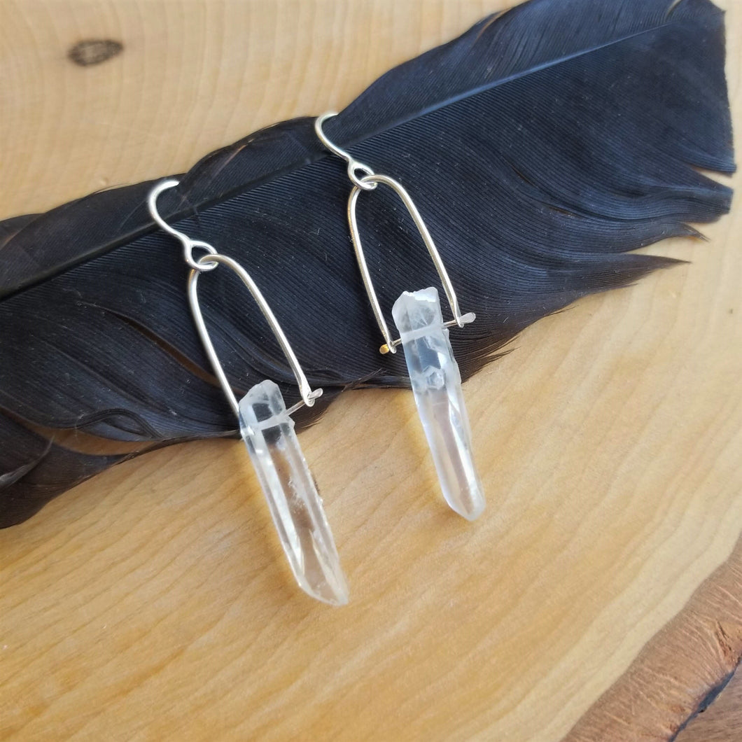 Pinned Crystal Dangle Earrings