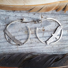 silver hawk hoop earrings framed by feathers
